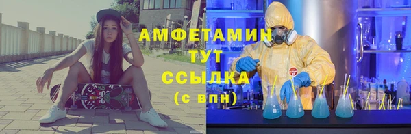 индика Покачи