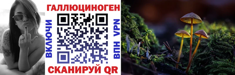 купить наркотик  Чехов  гидра как войти  Псилоцибиновые грибы GOLDEN TEACHER 